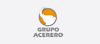 14 grupo acerero